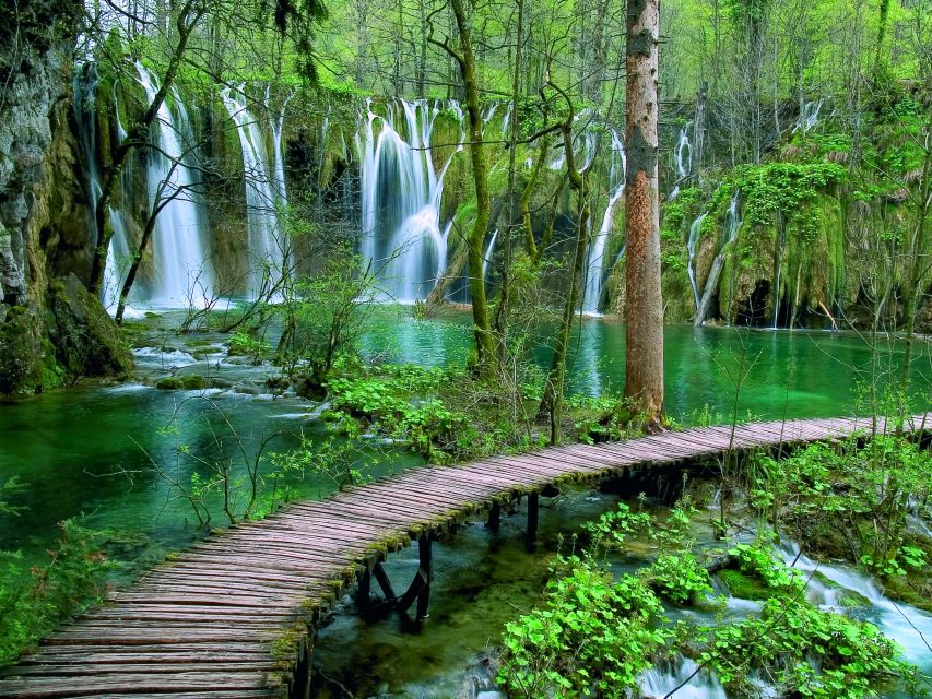Plitvice Lakes National Park: Private Tour from Zadar - Electric Train Ride: Less Time in Transit, More Time at the Water