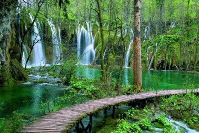 Plitvice Lakes National Park Tour from Zadar - Inside Plitvice Lakes: expect a lot of walking, not a quick stroll