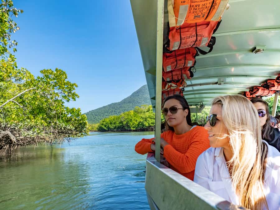 Port Douglas: Daintree National Park Tour, Cruise, & Zipline - Key highlights worth waking up for