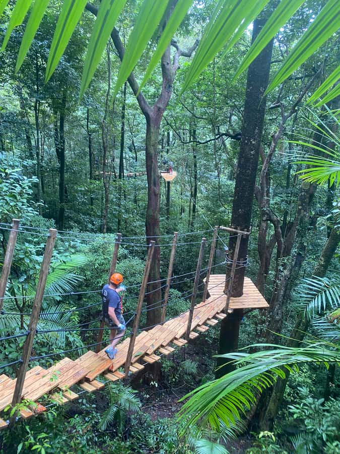 Port Douglas: Daintree National Park Tour, Cruise, & Zipline - A full 9 hours that stays fun, not rushed