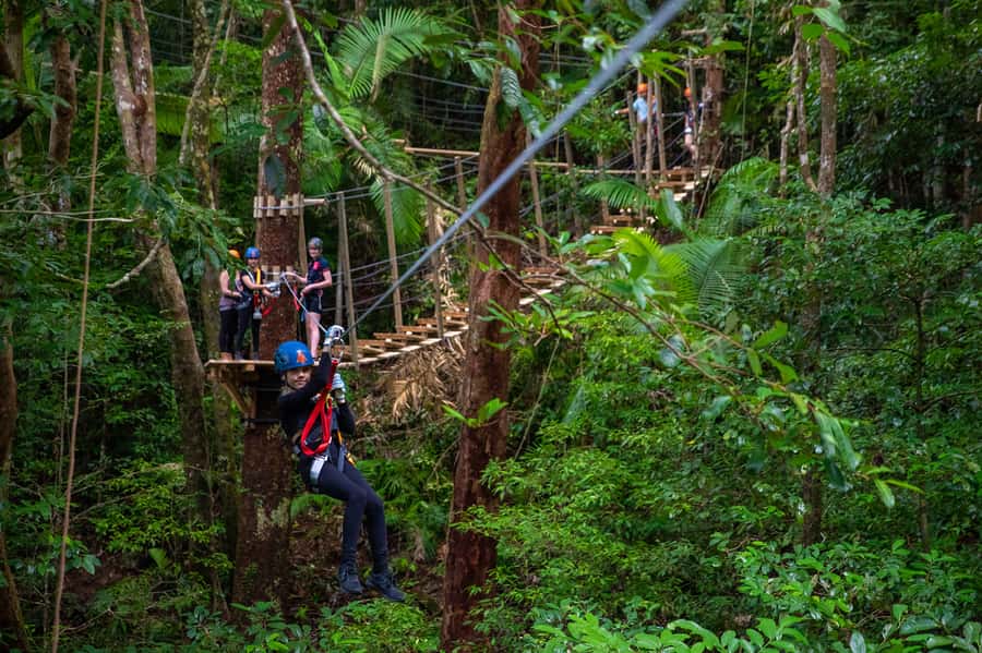 Port Douglas: Daintree National Park Tour, Cruise, & Zipline - Cape Tribulation beach walk: the rainforest meets the reef