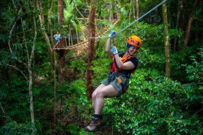 Port Douglas: Daintree National Park Tour, Cruise, & Zipline - Ferry to Alexandra Lookout: where you get the big picture fast