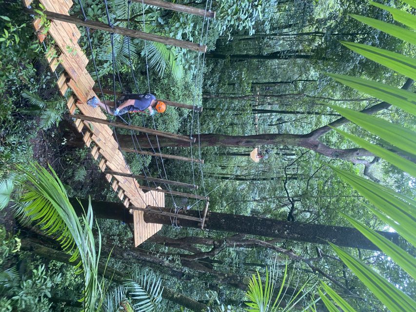 Port Douglas: Daintree National Park Tour, Cruise, & Zipline - Price and value: why $211 makes sense for a packed day