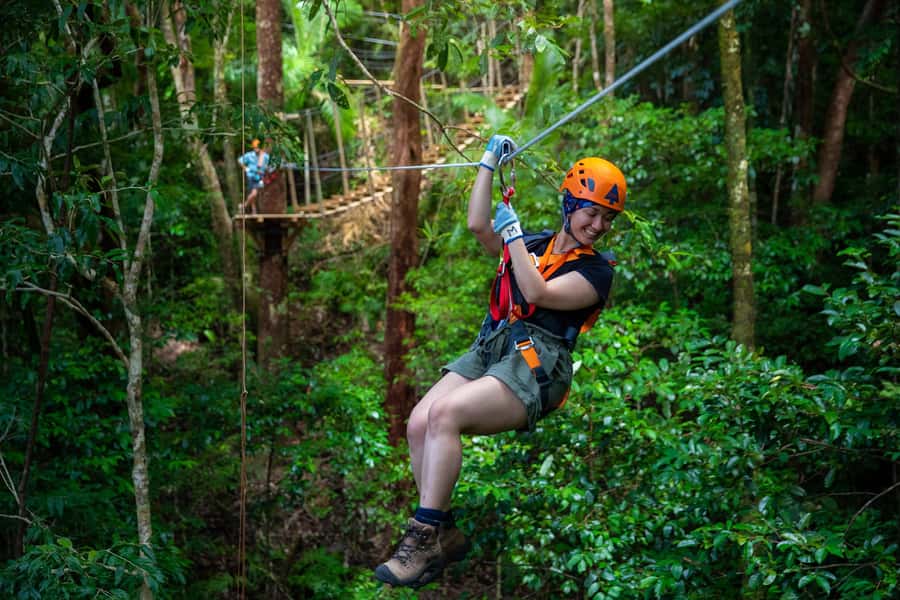 Port Douglas: Daintree National Park Tour, Cruise, & Zipline - Ferry to Alexandra Lookout: where you get the big picture fast