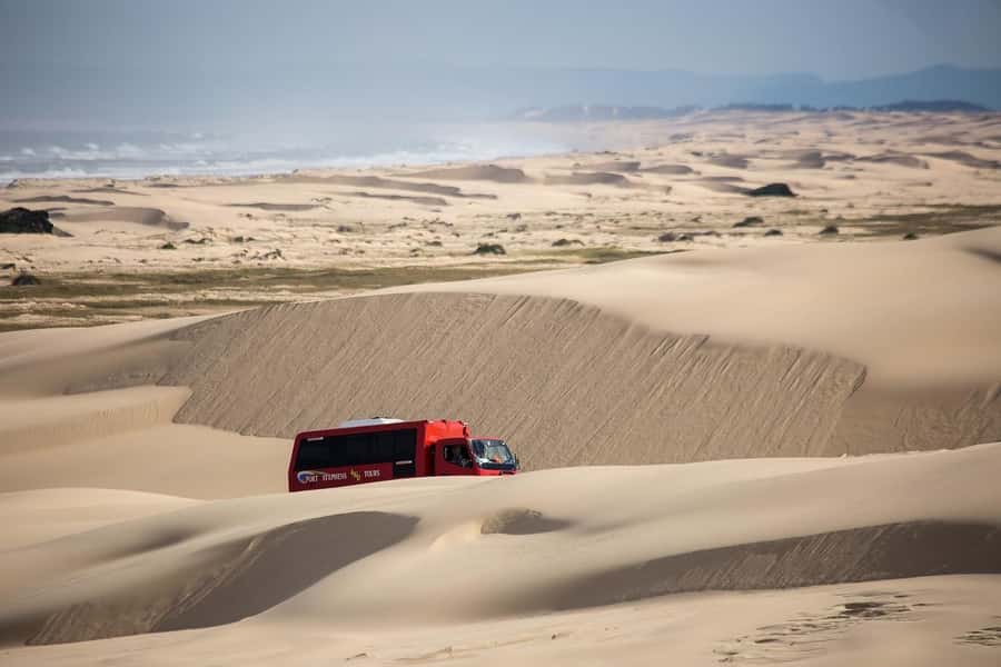 Port Stephens: Worimi National Park Sandboarding Adventure - The 4WD ride up: short, comfortable, and actually part of the fun