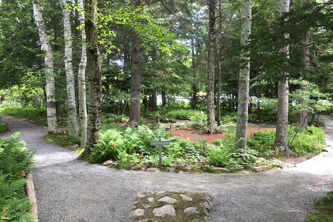 Premium Narrated Bus Tour of Bar Harbor and Acadia National Park (3.5 Hours) - What the Guide Adds: Story, Humor, and Local Names