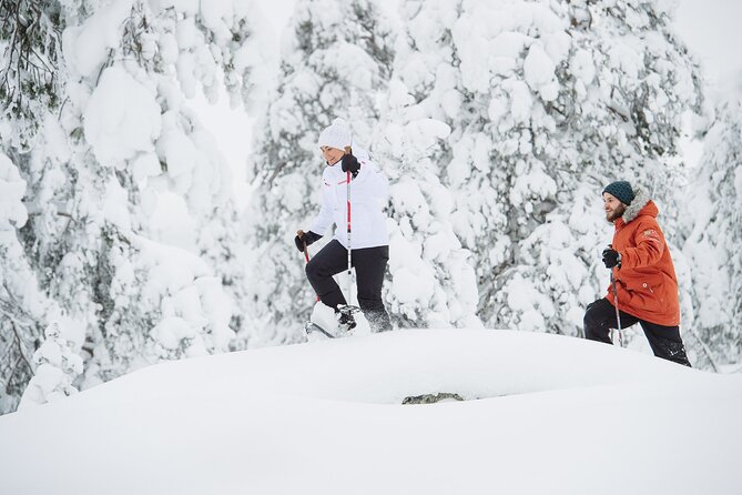 Premium Snowshoeing in Pyhä-Luosto National Park - Key highlights you should care about