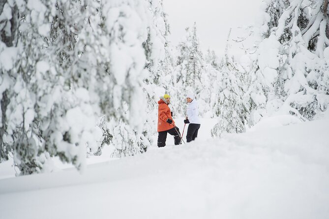 Premium Snowshoeing in Pyhä-Luosto National Park - The “premium” part: what you’re really buying