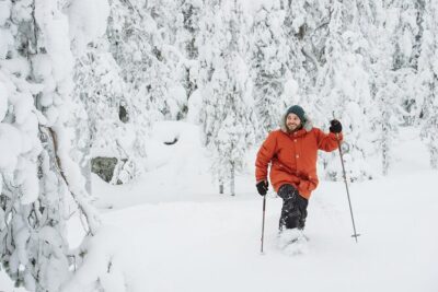 Premium Snowshoeing in Pyhä-Luosto National Park - Getting going from Bliss Adventure (and why location matters)