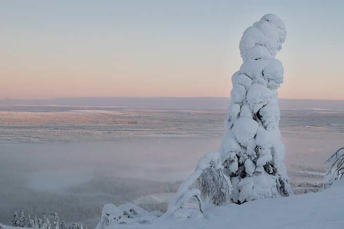 Premium Snowshoeing in Pyhä-Luosto National Park - PyhäExpress chair lift to the top of Pyhä: instant wow factor