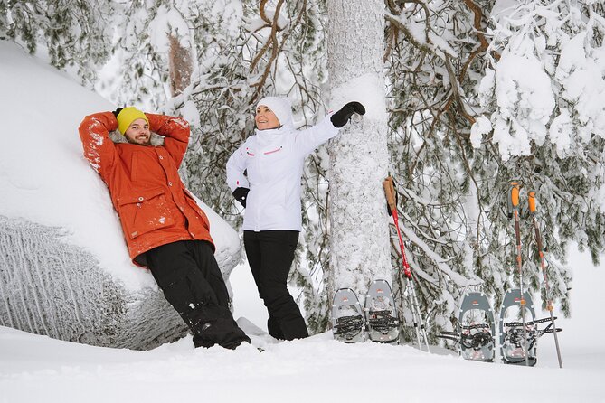Premium Snowshoeing in Pyhä-Luosto National Park - Snowshoe trek in the Arctic taiga: what to expect on the ground