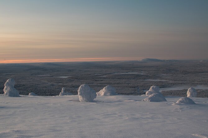 Premium Snowshoeing in Pyhä-Luosto National Park - What you’ll likely see on Pyhä Fell (and why it photographs so well)