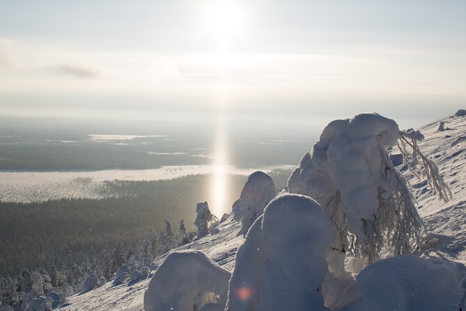 Premium Snowshoeing in Pyhä-Luosto National Park - Price and value: does $215.39 make sense?