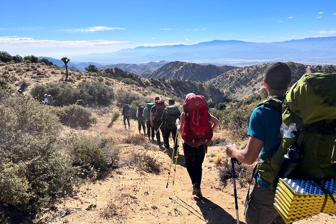 Private-36 Hour Adventure in Joshua Tree National Park - Safety and Comfort: Why “Private” Matters Here