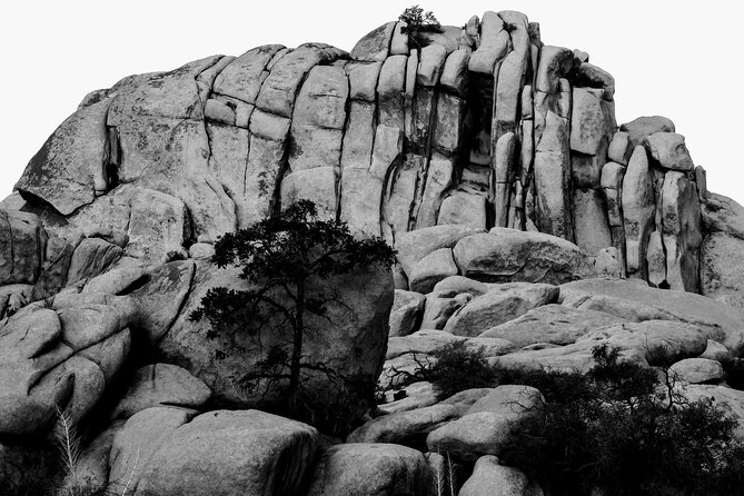 Private-36 Hour Adventure in Joshua Tree National Park - Who Should Book This (And Who Might Want a Different Option)