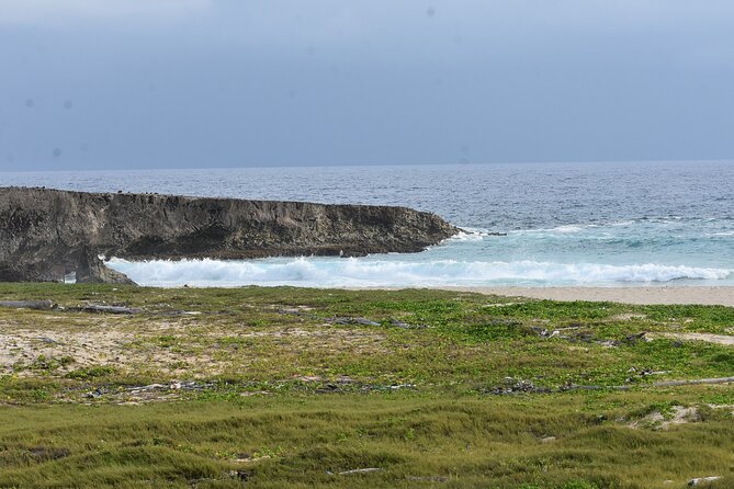 Private Aruba National Park Hiking & Natural Pool Swimming - Daimari Beach: the easy-to-miss start that sets the mood
