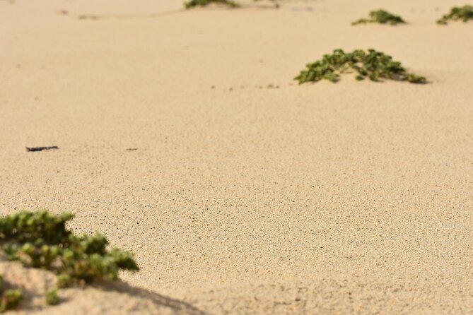 Private Aruba National Park Hiking & Natural Pool Swimming - What to wear: the rugged 5 km reality