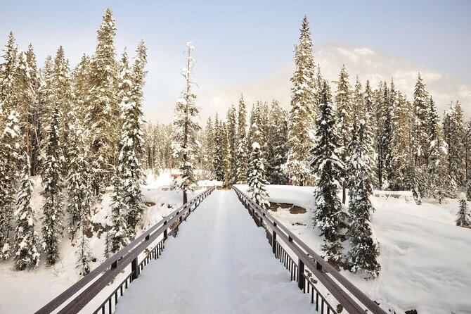 Private Banff and Yoho National Park Tour with Moraine Lake - A private Banff and Yoho loop makes sense