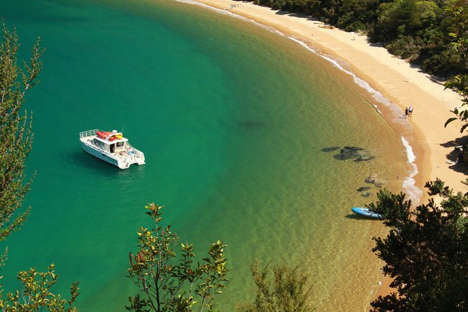 Private boat charter in Abel Tasman National Park - Tonga Island Marine Reserve: fur seals are the main event