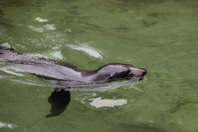 Private boat charter in Abel Tasman National Park - The 10:00 am start and 6-hour rhythm: how your day actually flows