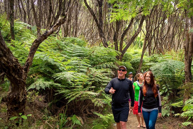 Private boat charter in Abel Tasman National Park - Split Apple Rock: a quick stop that makes sense from the water