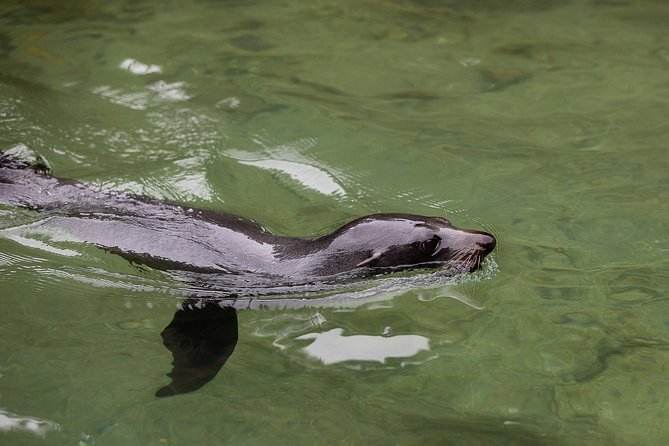 Private boat charter in Abel Tasman National Park - The 10:00 am start and 6-hour rhythm: how your day actually flows