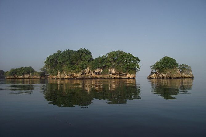 Private Boat Nature Tour of Los Haitises National Park - Beyond the boat: rainforest walking and the caves with Taino art