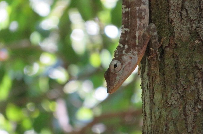 Private Boat Nature Tour of Los Haitises National Park - Pickup, timing, and what a 12-hour day feels like