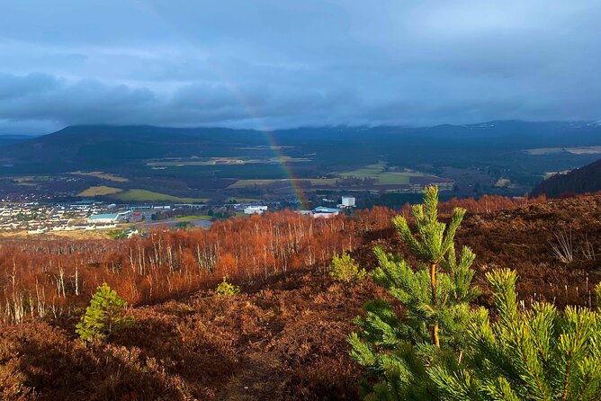Private Cairngorm National Park tour - Key things to know before you go