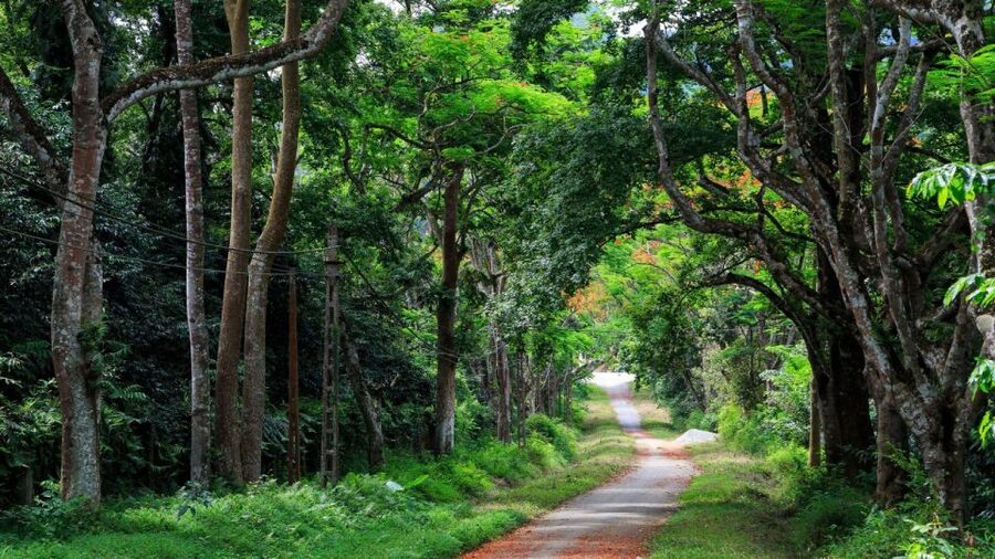 Private Day Tour: Cuc Phuong National Park from Hanoi - Key things I’d circle on your plan