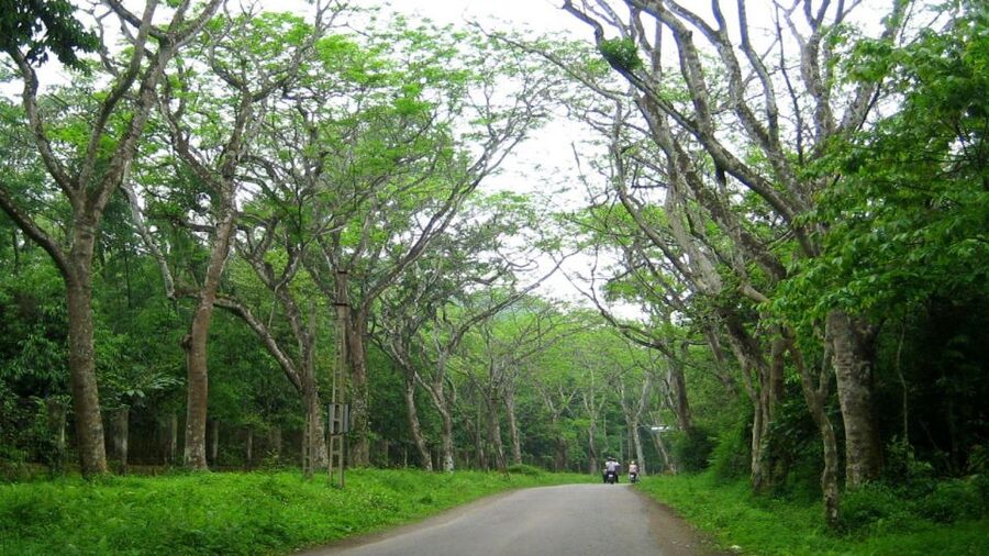 Private Day Tour: Cuc Phuong National Park from Hanoi - Who this tour suits best (and who should consider another style)