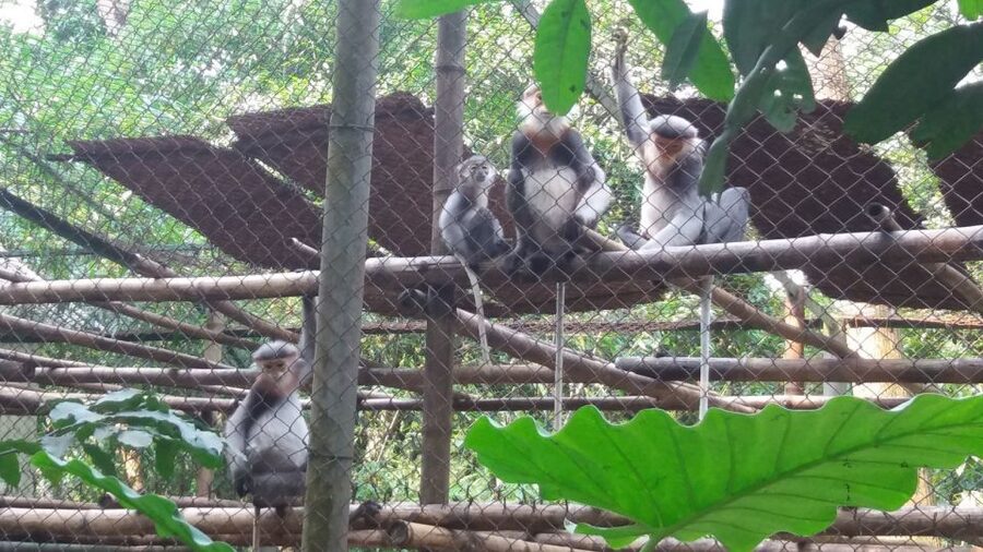 Private Day Tour: Cuc Phuong National Park from Hanoi - Lunch inside the park zone: fuel before the trek