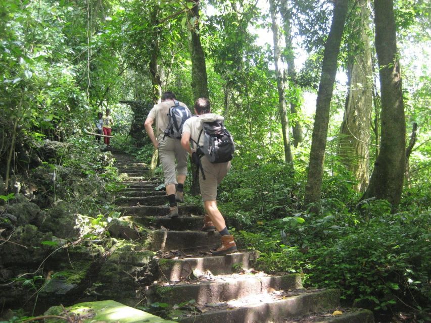 Private Day Tour: Cuc Phuong National Park from Hanoi - The jungle trekking block: where the day becomes unforgettable