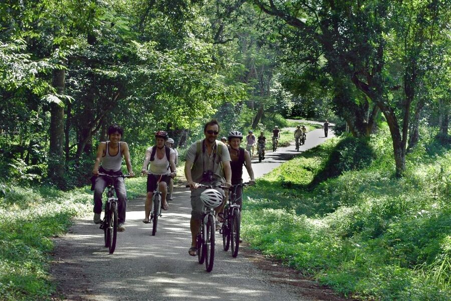 Private Day Tour: Cuc Phuong National Park from Hanoi - The built-in break and the later walk through the park