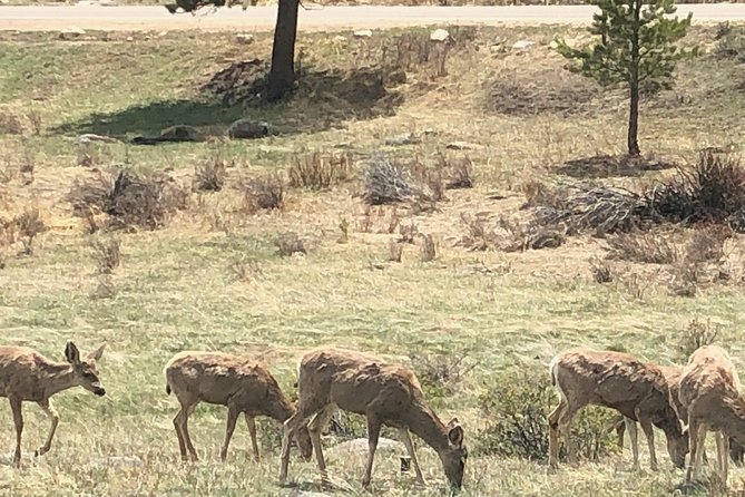 Private Day Tour From Denver to Estes Park and Rocky Mountain National Park - Grand Lake: high-mountain lake time without the marathon