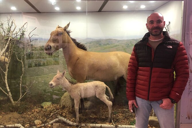 Private Day Tour in Hustai Nuruu National Park - Winter Wonderment and Mongolian Nomadic Life (Depending on Timing)