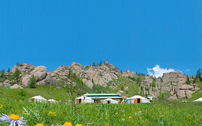 Private Day Tour: Terelj National Park + Genghis Khan's Statue .. - What You’re Really Getting for $184 (And What Could Feel Like Extra)