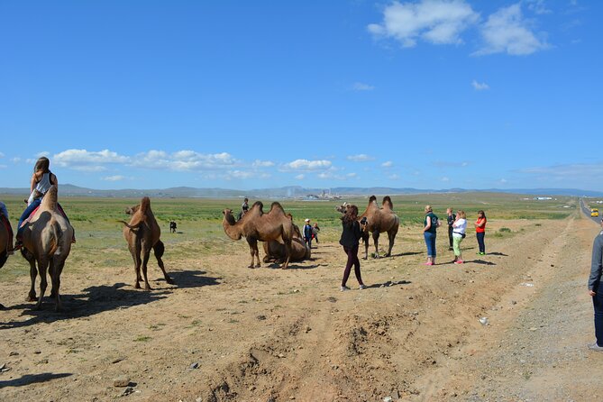 Private Day Tour: Terelj National Park + Genghis Khan's Statue .. - The Pace and Service: Why People Rate It So Highly