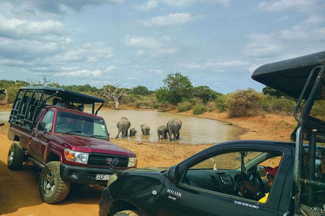 Private Day Tour: Yala National Park Safari Tour from Galle & Weligama - 5 hours of jeep safari with a naturalist and binoculars