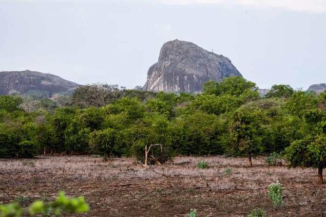 Private Day Tour: Yala National Park Safari Tour from Galle & Weligama - Breakfast, park comfort, and a home-cooked lunch with a local family
