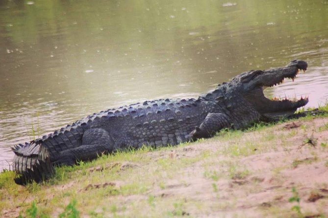 Private Day Tour: Yala National Park Safari Tour from Galle & Weligama - Small perks that add up during a long wildlife morning