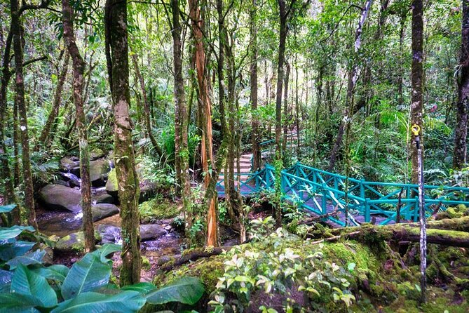 Private Desa Dairy Farm, Kinabalu National Park, Hot Spring & Canopy Walk Tour - Kinabalu Park Headquarters: Where Registration Happens and Trails Begin