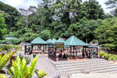 Private Desa Dairy Farm, Kinabalu National Park, Hot Spring & Canopy Walk Tour - Bombon Kg. Marakau Fish Spa: Sabah River Life, Hands-On