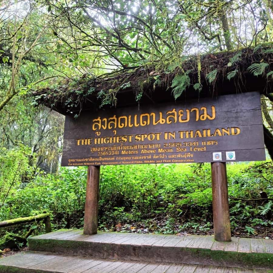Private Doi Inthanon National Park Sightseeing Day Tour - Lunch and the Food Reality: Plan for Average, Add Your Own Extras