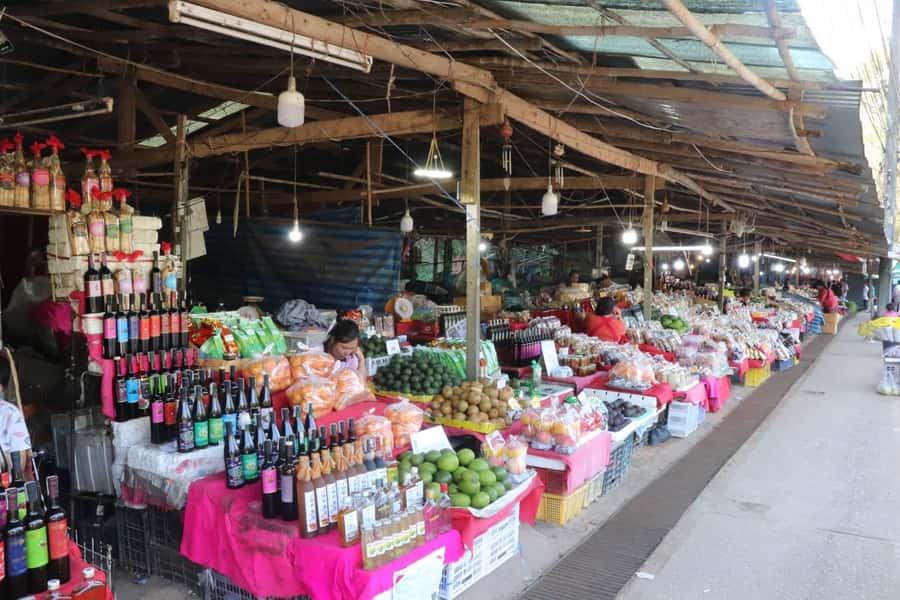 Private Doi Inthanon National Park Sightseeing Day Tour - Ban Mae Klang Luang: White Karen Hill Tribes and Terrace Rice Fields