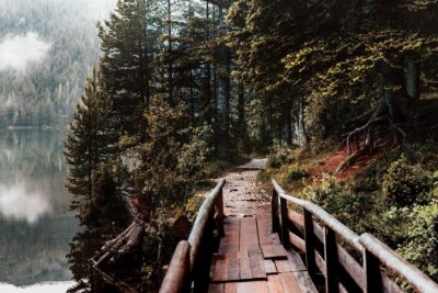 Private Durmitor National Park and Black Lake Tour - Pickup from Podgorica (and nearby towns) makes the day easier