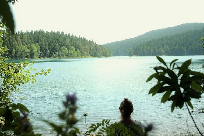 Private Durmitor National Park and Black Lake Tour - Stop 3: Đurđevića Tara bridge—photos, snacks, and story time