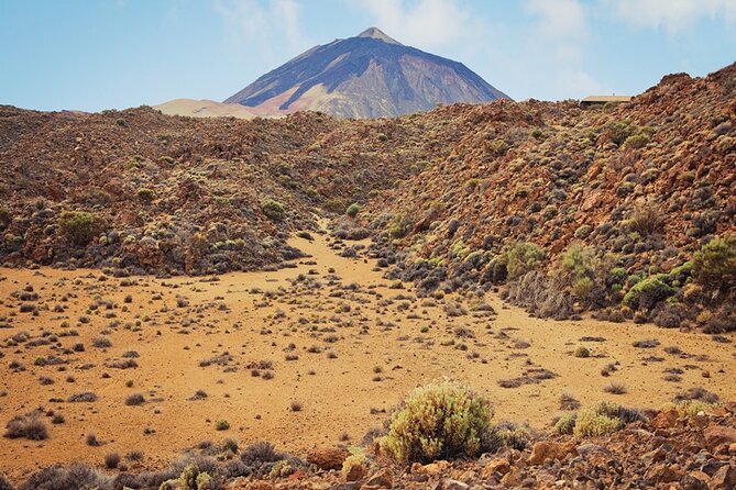 Private excursion to Teide National Park - A guide who makes volcanic terrain make sense (without overdoing it)