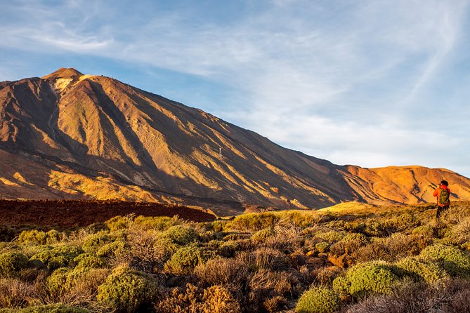 Private excursion to Teide National Park - Price and value: where $118.52 per person makes sense