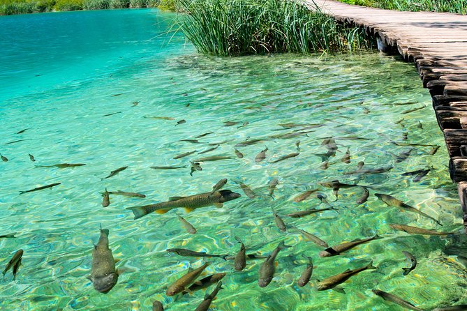 Private experience of Rastoke and Plitvice Lakes from Zagreb - Price and Value: What You’re Paying For at $205.67
